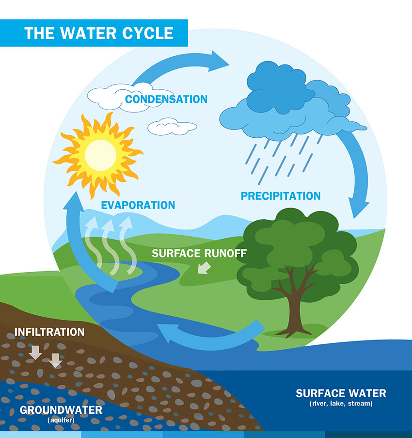The American Water Water Cycle